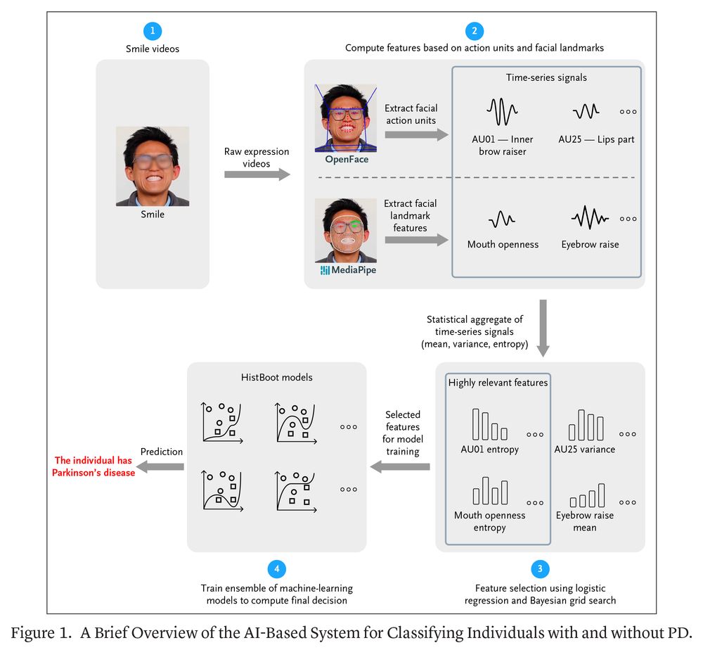 Figure 1. A Brief Overview of the AI-Based System for Classifying Individuals with and without PD.