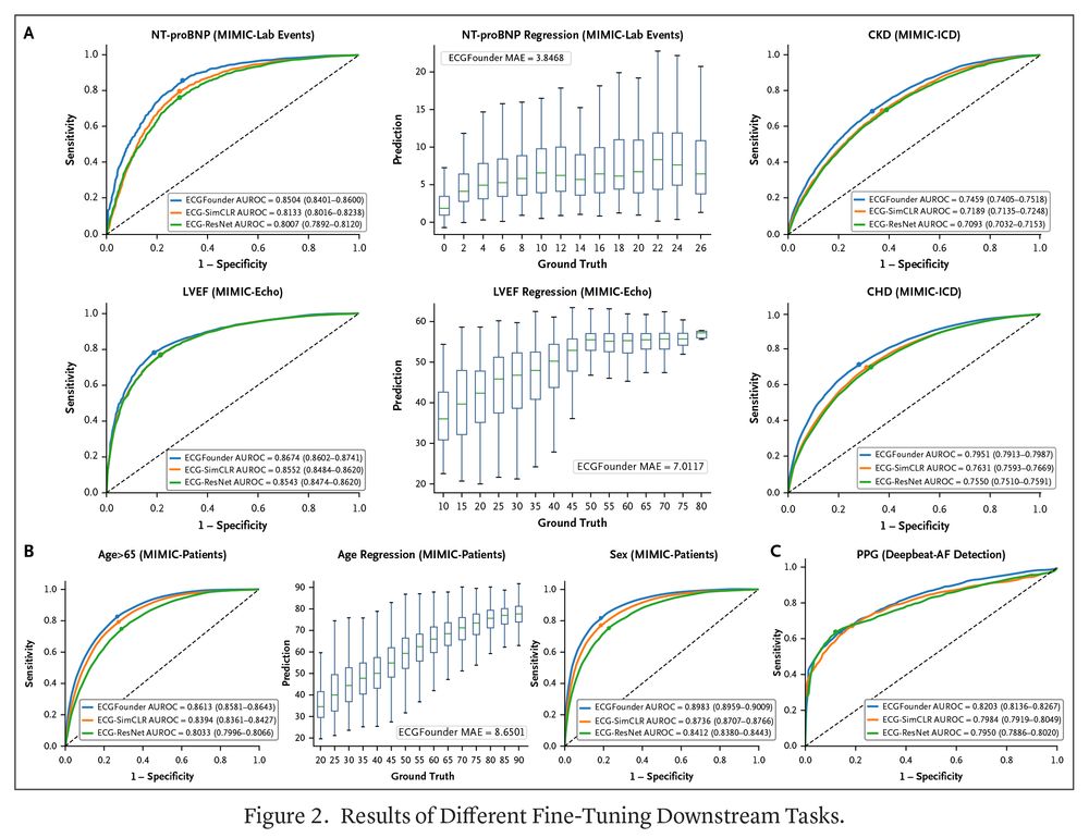 Figure 2. Results of Different Fine-Tuning Downstream Tasks. 