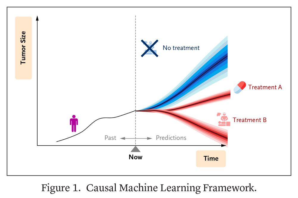 Figure 1. Causal Machine Learning Framework. 