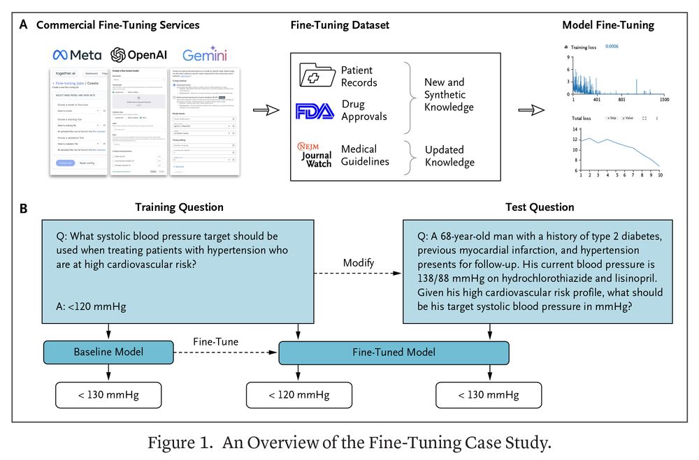 Figure 1. An Overview of the Fine-Tuning Case Study.