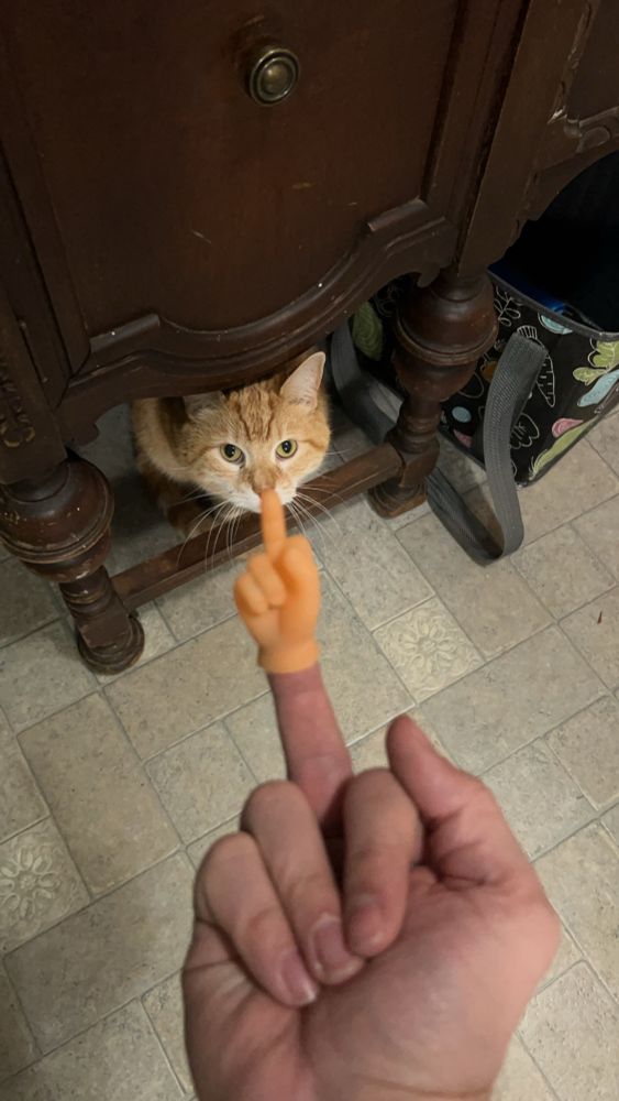 Comment image