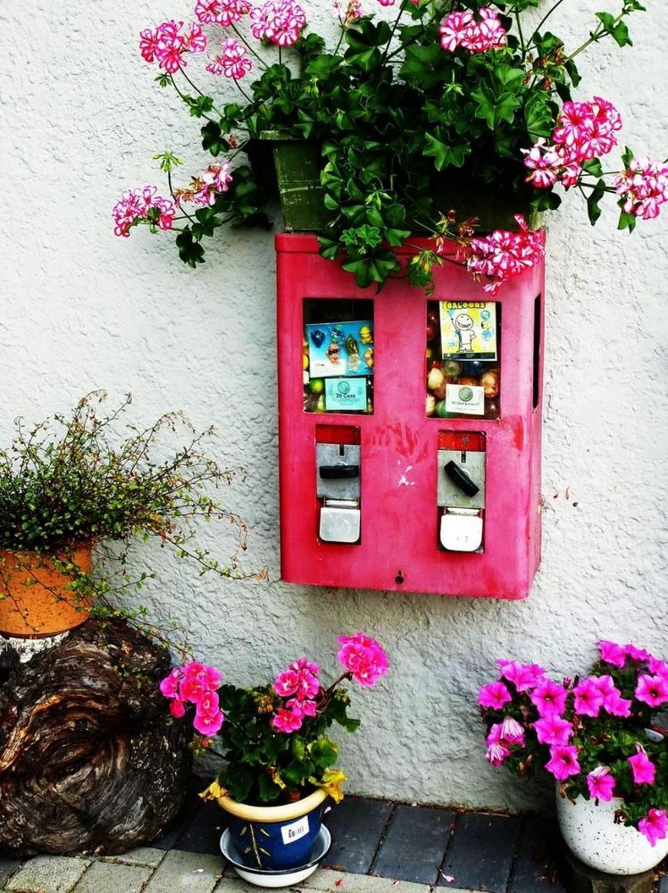 Kaugummiautomat, der ringsum mit Topfpflanzen geschmückt ist.
