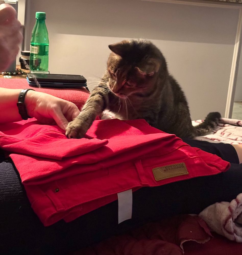 Cat reaches his arm out and presses his little paw down on the thread