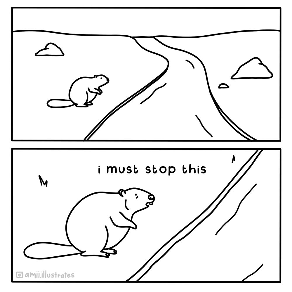Funny comic strip. A beaver stands beside a flowing river, “I must stop this”. Illustration drawn in simplistic cartoon line art style. By Amii Illustrates.