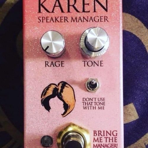 Karen speaker manager guitar pedal 