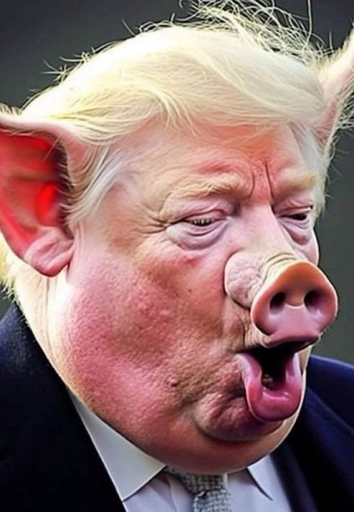 AI generated photorealistic image of President pussy pucker Drumpf with pig ears & pig nose.