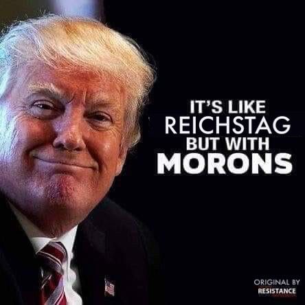 Smirking, dumb looking Drumpf “It’s like Reichstag but with Morons.”