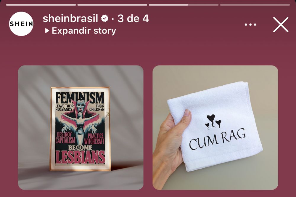 Propaganda da Shein mostrando 2 produtos:
- quadro escrito “feminism becomes lesbianism” com ilustração de vampiro com uma mulher com asas
- toalha branca pequena com o bordado “cum rag” acompanhado de 3 corações com “rabinhos”, aludindo à espermatozoides 