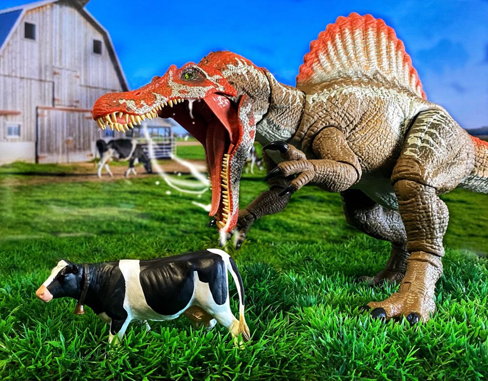 Drooling Spinosaurus lunging at a cow in a grass field by a barn.