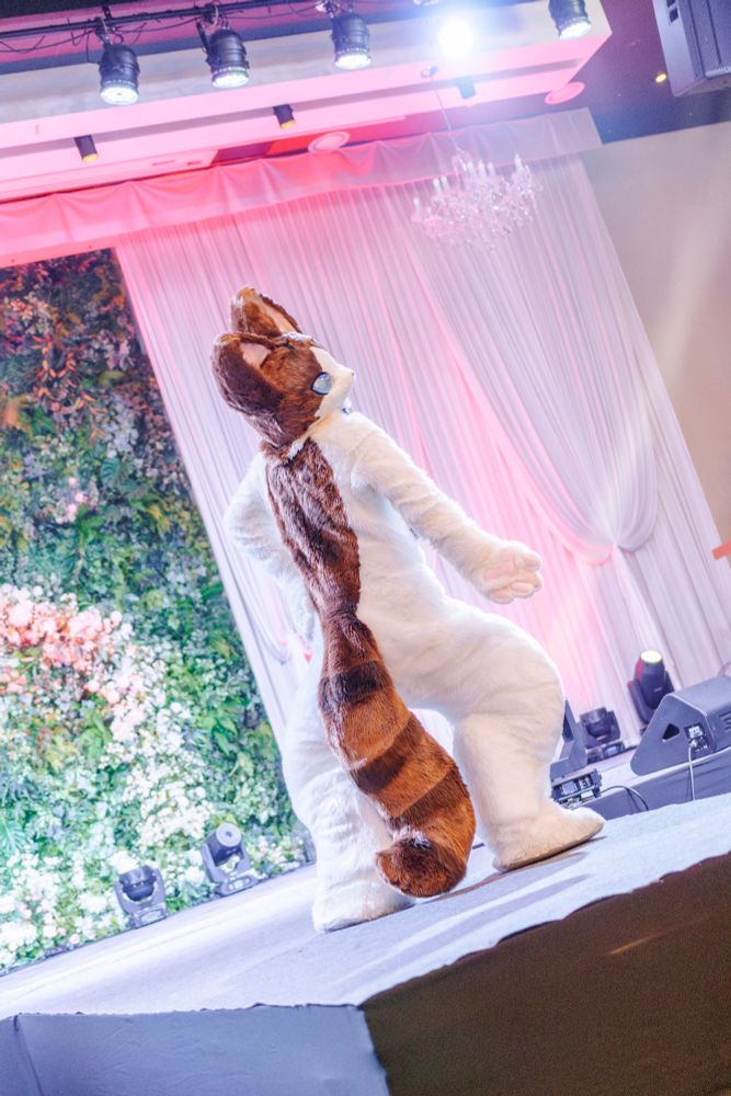 📷 : @rapid_renard