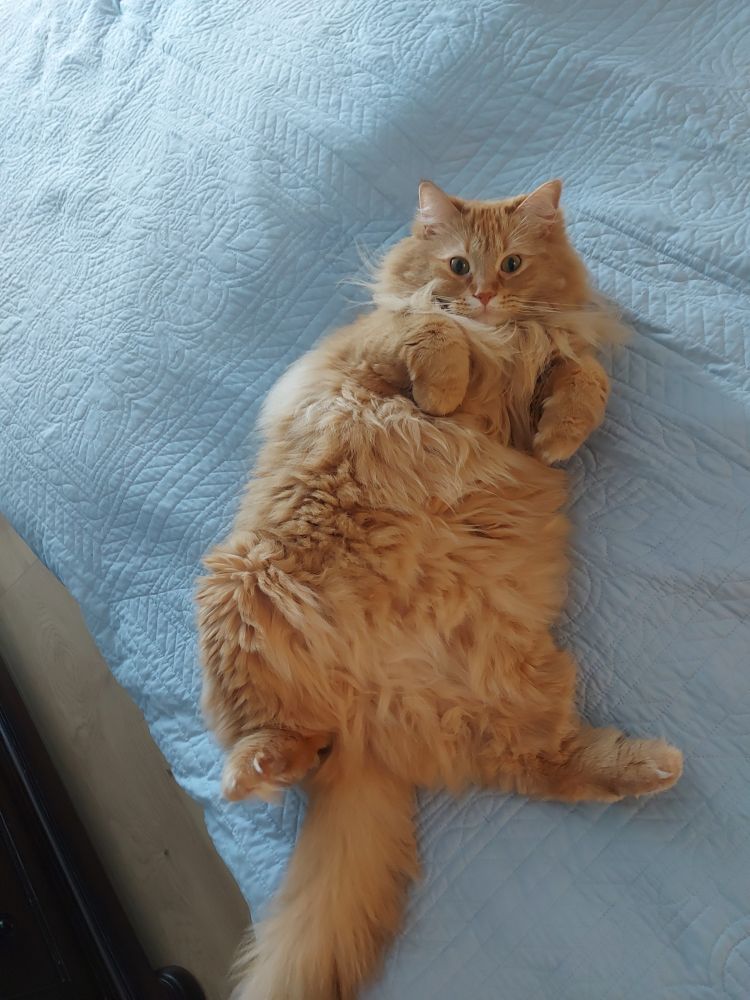 the same as last pic but William is now giving me kind of a look