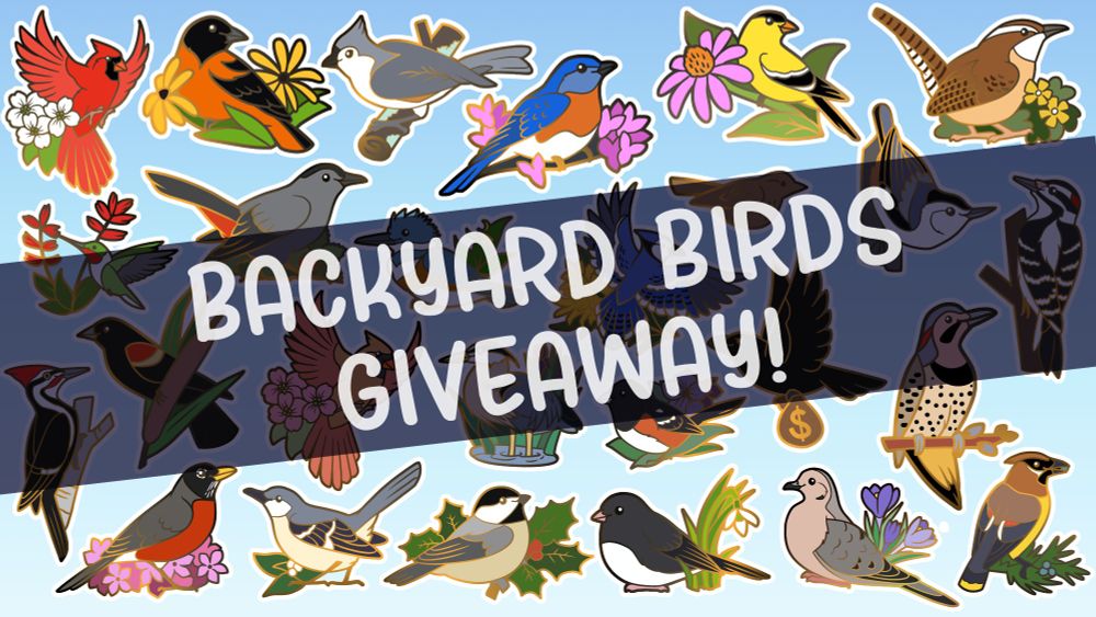 text reads "backyard birds giveaway" over a collage of local bird and plant enamel pin designs