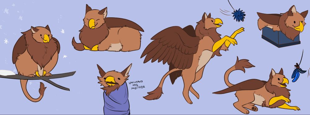 digital doodles of a cute little brown gryphon acting like a cat