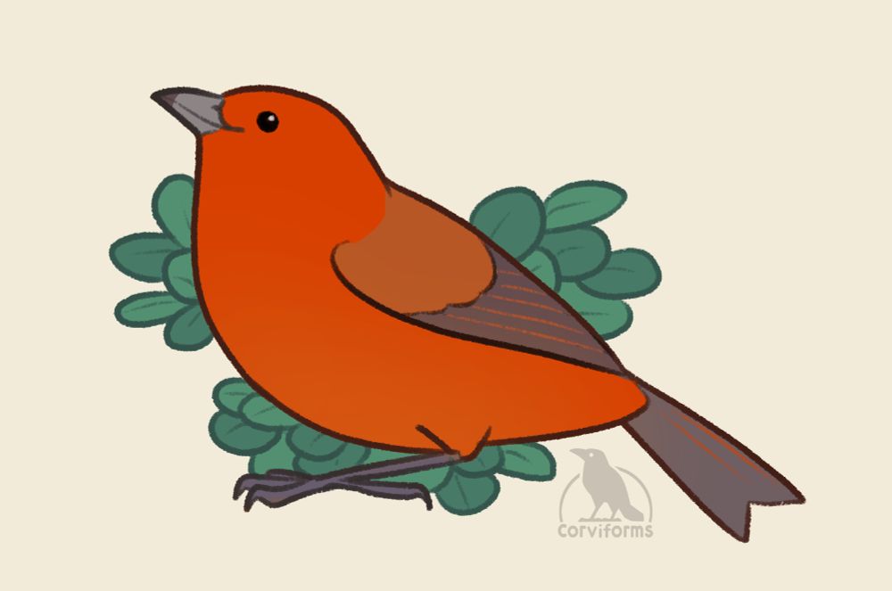 digital drawing of a red bird facing left with some sage green leaves in the background