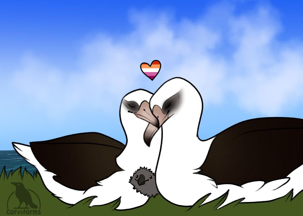 digital drawing of adult two female laysan albatrosses cuddling with a ridiculous grey baby poking out from between them