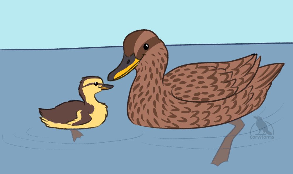 digital doodle of a hawaiian duck and duckling