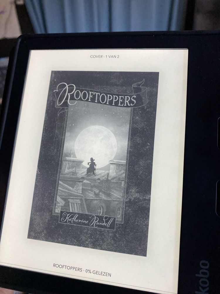 Rooftoppers - Katherine Rundell ebook op kobo ereader