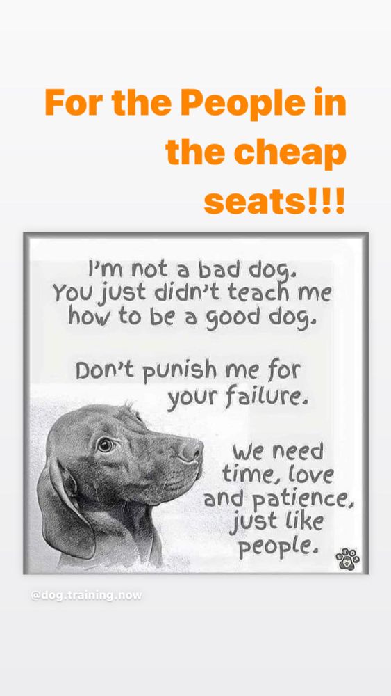 For the People in the cheap seats!!!
I'm not a bad dog.
You just didn't teach me how to be a good dog.
Don't punish me for your failure.
We need time, love and patience, just like people.
@dog.training.now