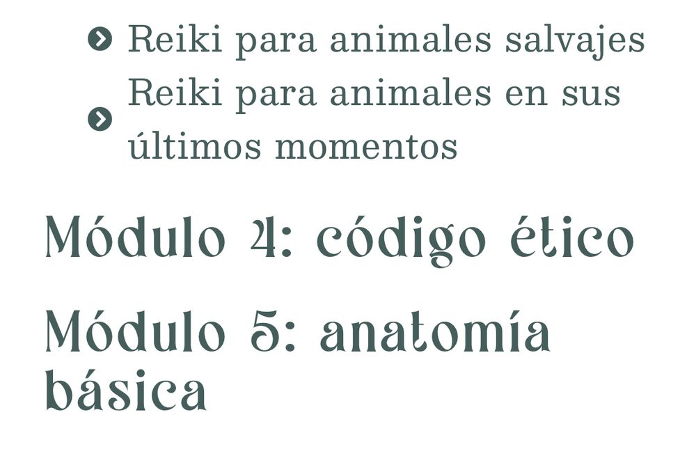 Captura del programa del curso de reiki para animales, el módulo 4 es sobre código ético