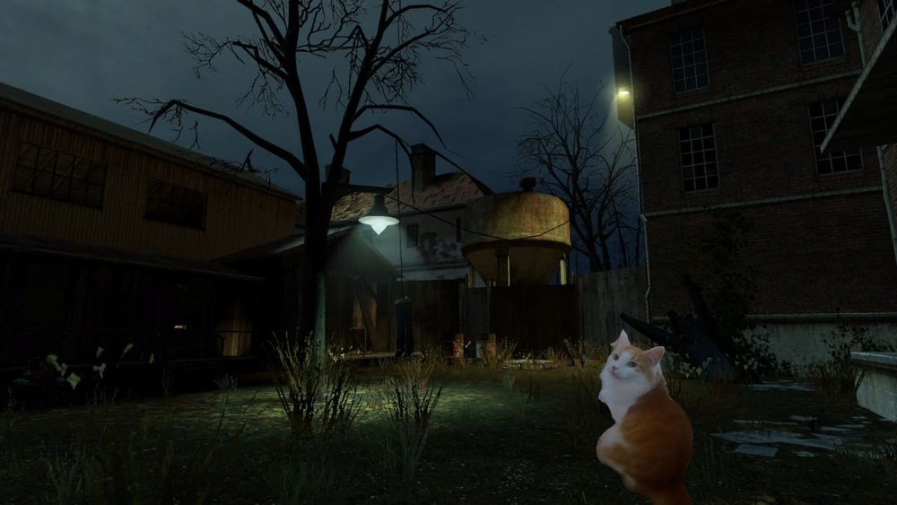 White and orange cat in the spooky ruined town of Ravenholm from Half-life 2