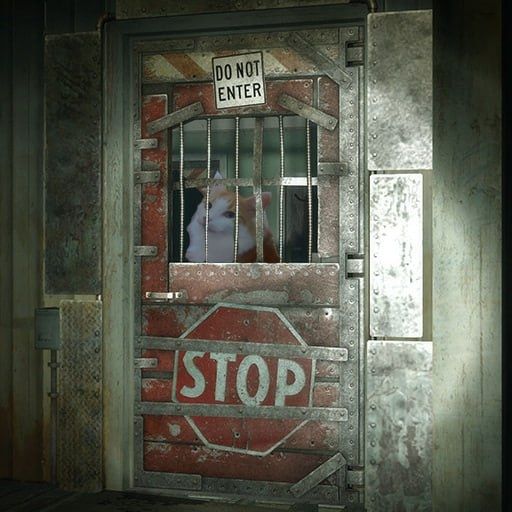 White and Orange cat stuck behind the saferoom door in Left 4 Dead 
