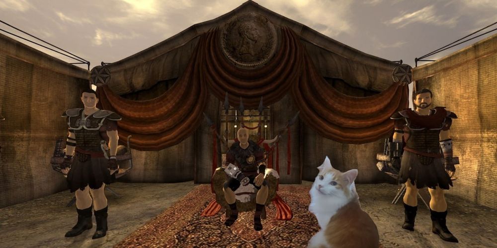 White and orange cat standing before Caesar in Fallout New Vegas