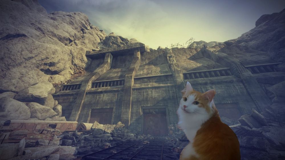 White and orange cat outside of Yamantau Bunker in Meteo Exodus 