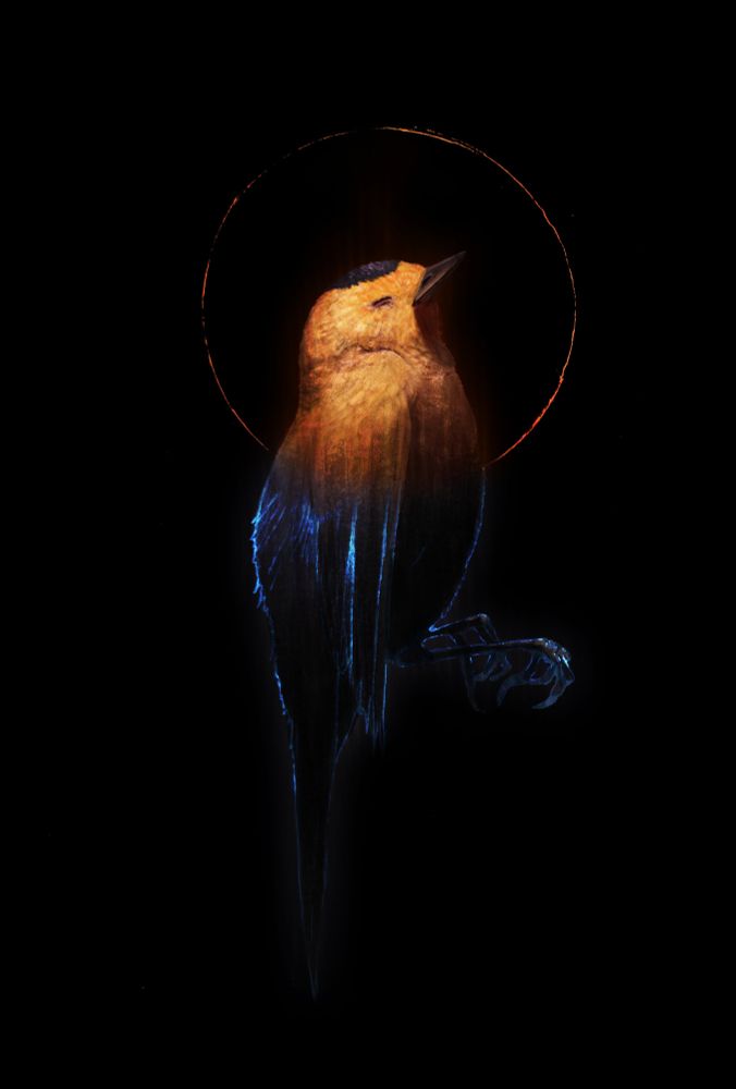 freshly deceased bird that is slowly turning transparent/ghostly.