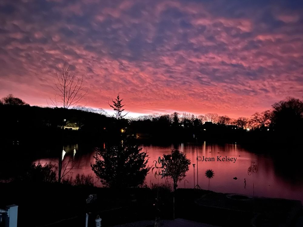 Early morning before sunrise. The shoreline is covered with a blanket of clouds that lit up as the sun was rising. In the distance over the trees is a bright white slice that stretches along the tree tops. Lights in the distance are from streets and houses nestled within the trees. The water is calm reflecting the sky and landscape. In the foreground is a skinny leafless tree, a spruce tree a few wind spinners and a hydrangea tree next to a pole.