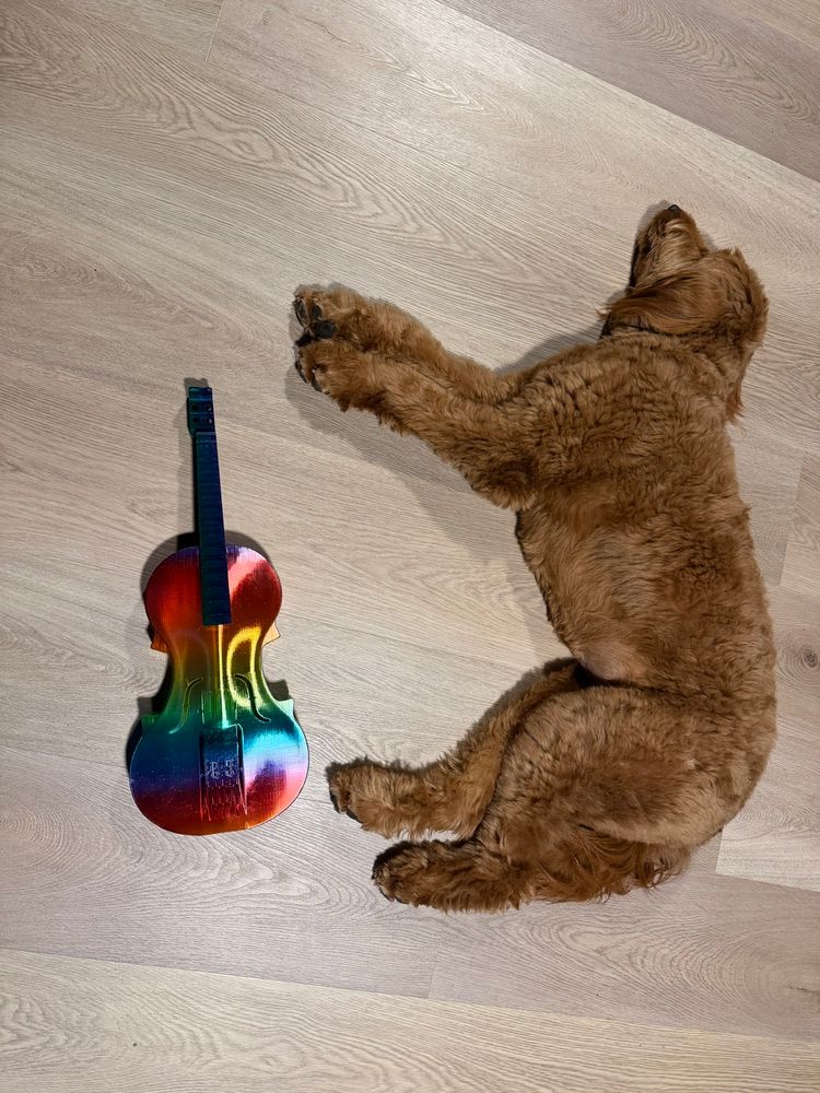 A 3d printed rainbow-colored violin and a goldendoodle on the floor