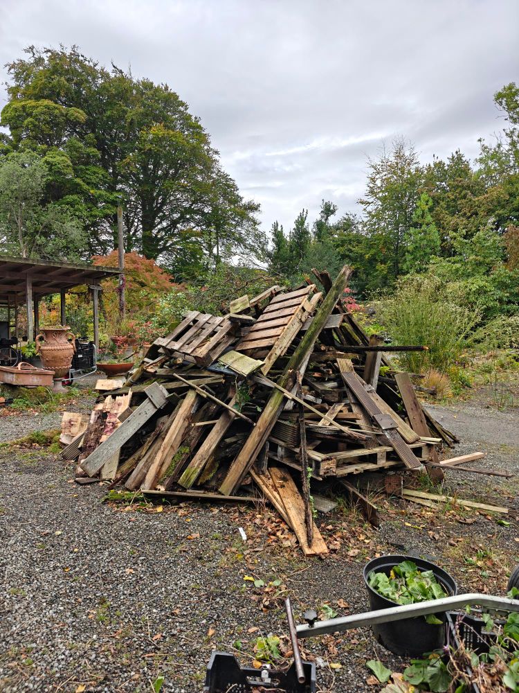A pile of wood for a bonfire 