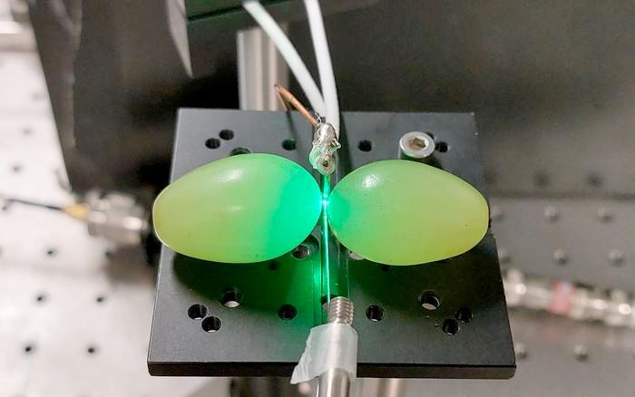 a photo of two grapes suggestively positioned on either side of a stripped optical fiber. a vertical straight copper wire is equidistant from each grape
