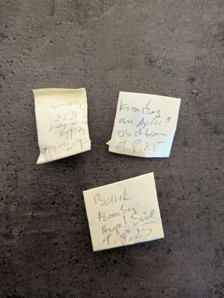 3 small folded packages made from post-it notes with lichen samples. 2 are mine and one is my son's.