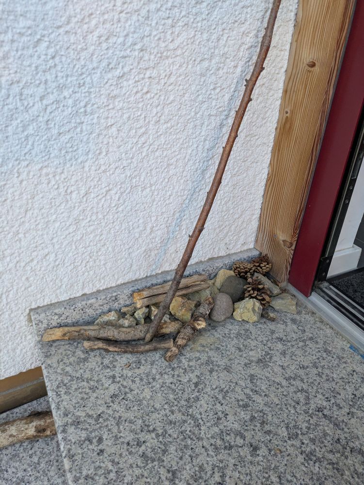 A collection of stones, pinecones and sticks next to our door.