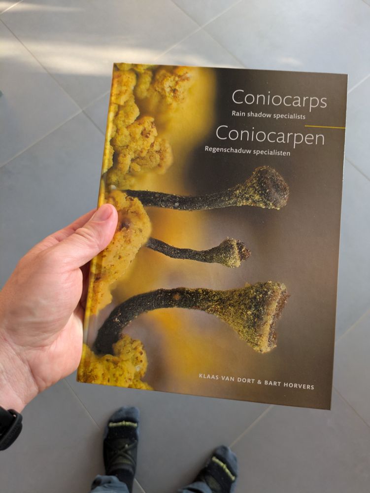 A book titled Coniocarps - Rain shadow specialists, Coniocarpen - Regenschaduw specialisten by Klaas van Fort and Bart Horvers