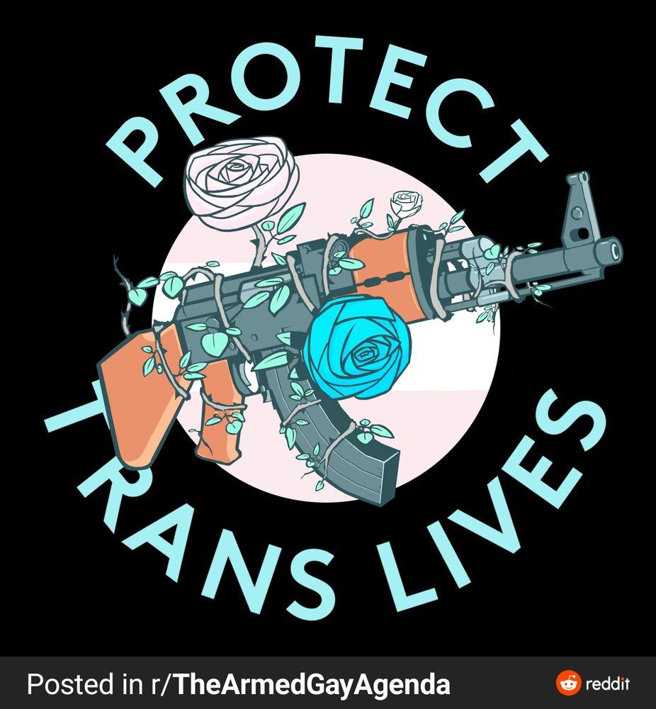An AK-47 with blue and white flowers framed by the words "Protect Trans Lives"