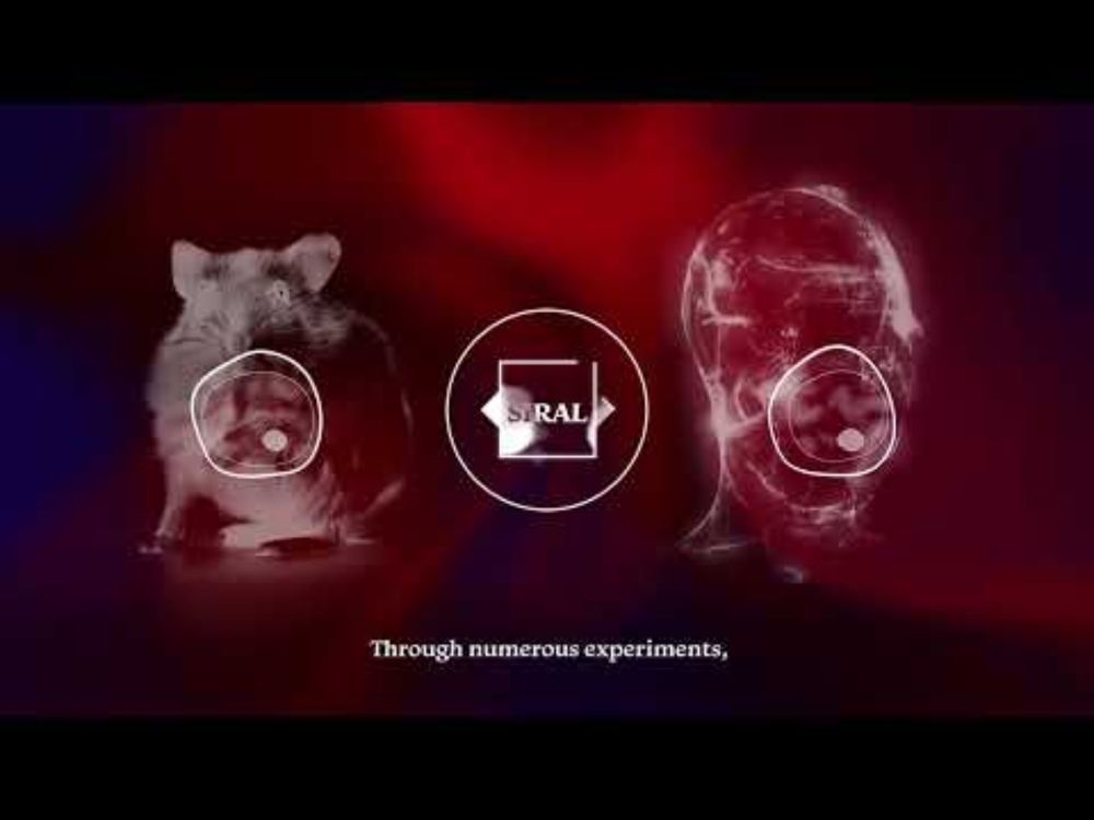 Ancestral immunity: when bacteria shed light on our defenses