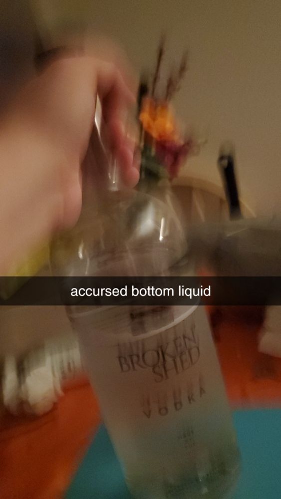 blurry photo of a bottle of vodka captioned "accursed bottom liquid" 
