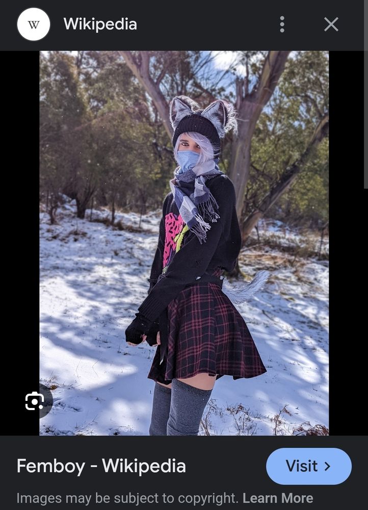 The main image for the Wikipidia page on femboys