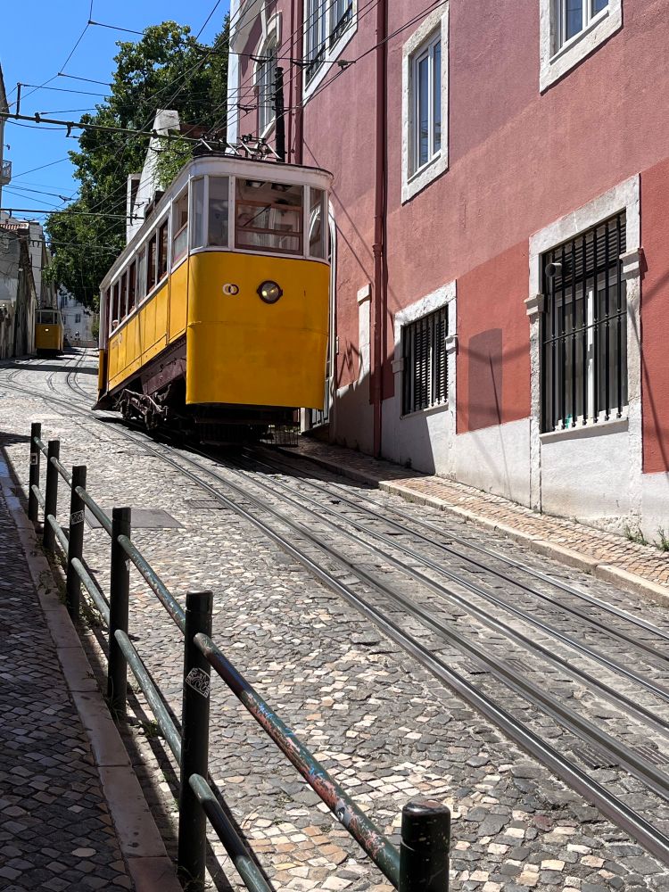 Das Bild zeigt eine gelbe Straßenbahn, die eine steile Straße hinauffährt. Die Bahn fährt auf Gleisen, die in das Kopfsteinpflaster eingelassen sind. Links ist ein Metallgeländer entlang des Gehwegs zu sehen. Rechts stehen mehrstöckige Gebäude mit rötlich gestrichenen Fassaden und weißen Fensterrahmen. Über der Bahn verlaufen Oberleitungen. Im Hintergrund ist eine weitere Bahn derselben Art auf der Strecke zu erkennen. Hinter den Gebäuden und entlang der Straße sind grüne Bäume sichtbar, der Himmel ist blau und wolkenlos.