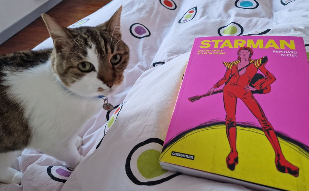 Ma chatte Bowie sur ma couette blanche à motifs colorés, à côté du roman graphique "Starman" sur David Bowie.