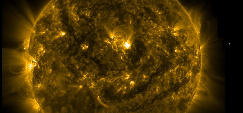 Die Sonne in gelber Farbe, wobei weite Teile der Oberfläche eher dunkel dargestellt sind, während Aktive Regionen in der Mitte und links am Rand hell leuchten. Rechts winzig klein das Archivbild der Erde, die in diesem Maßstab wie ein kleiner blauer Punkt aussieht. Sie würde 110 Mal nebeneinander aufgereiht in den Durchmesser der Sonne passen, der circa 1,4 Millionen Kilometer beträgt.