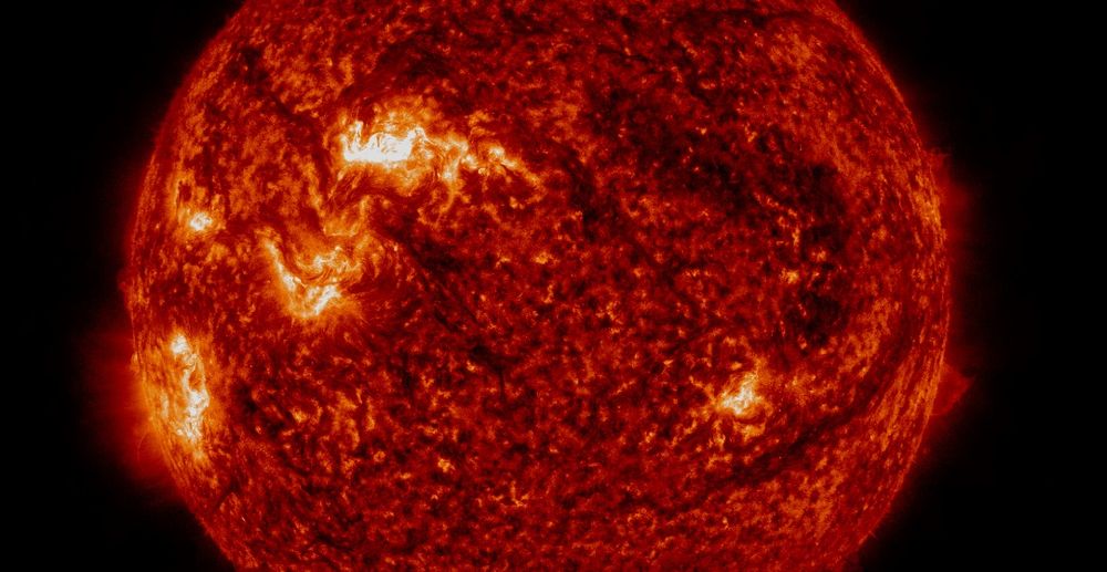 Die erdzugewandte Seite der Sonne in orangeroter Farbe. Vier bis fünf Aktive Regionen sind hier heller dargestellt. Es sieht so aus, als ob es da aus dem Inneren hervorleuchtet.