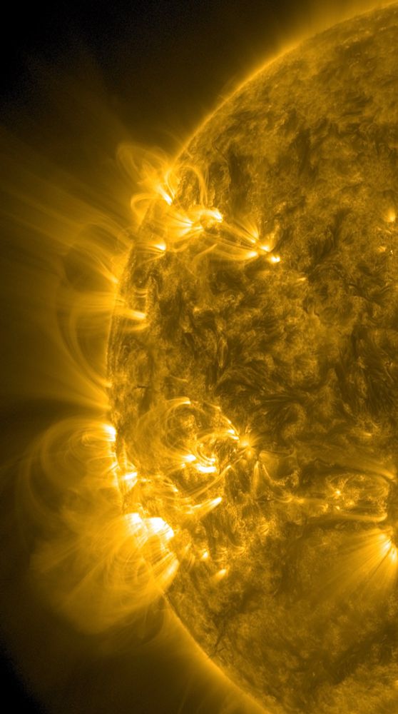 Die linke Hälfte der erdzugewandten Seite der Sonne in gelber Farbe. Am Rand gleich vier oder fünf Stellen, von denen Bögen aus Licht ins All ausgehen. 