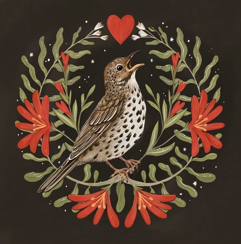A folk art style dwaine in coloured pencil of a Winter Thrush in a tangle of red flowers and vines, Circle motif.