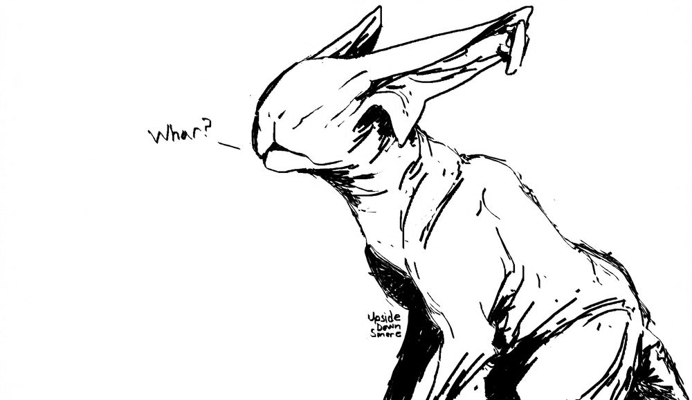 MS Paint doodle of a hyekka from Warframe saying "Whar?"