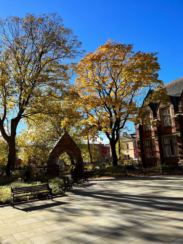 Clothworkers Court surrounded by trees with golden leaves