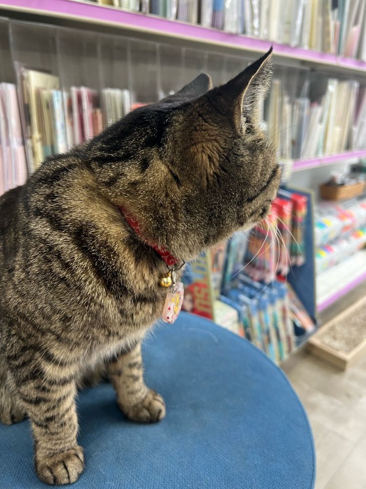 万年堂のシマ子店長