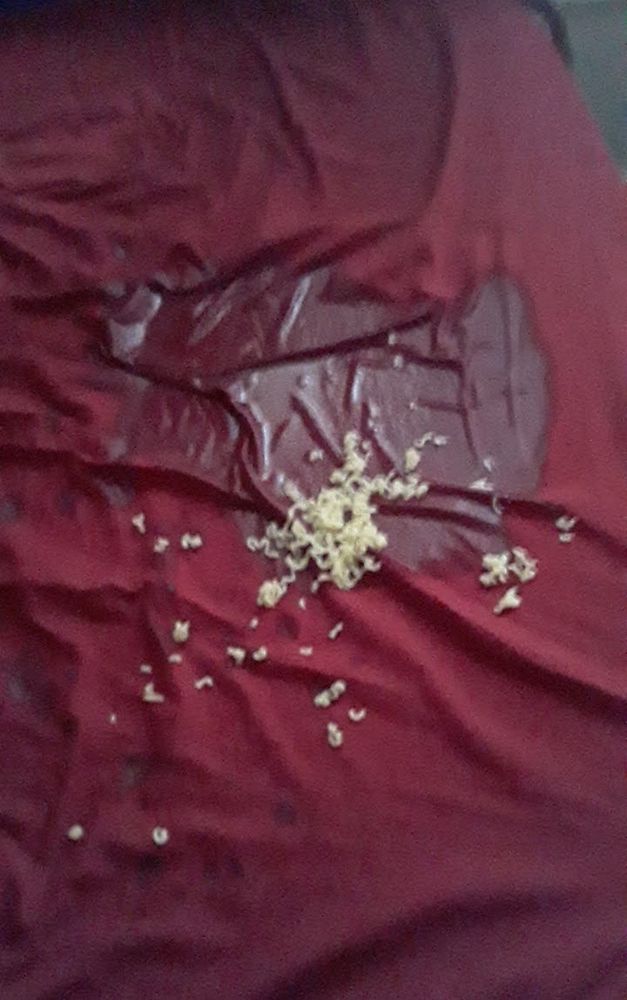 a picture of ramen spilled all over my bed that I took a few years ago, it's very wet 💀