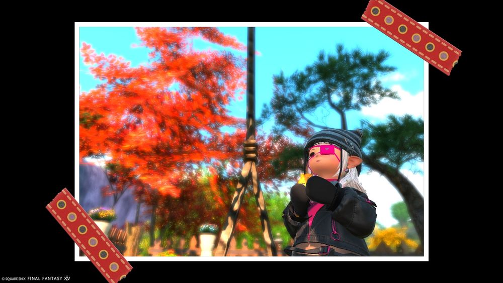 足早に駆け抜ける秋🍂